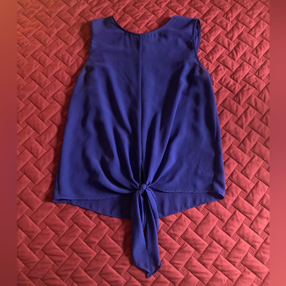 Royal Blue Sheer Tie-front Button-back Top - Slightly Cropped